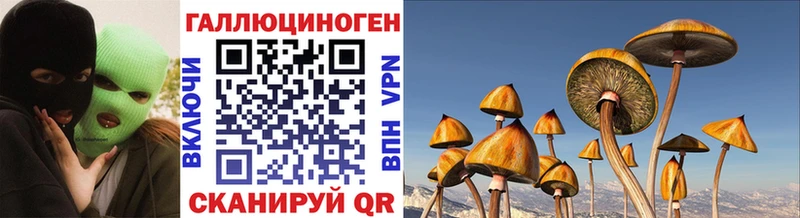дарнет шоп  Кузнецк  Псилоцибиновые грибы прущие грибы 